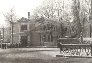 1950-ті